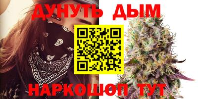 крисы Краснознаменск