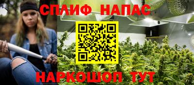 гидра Краснокаменск