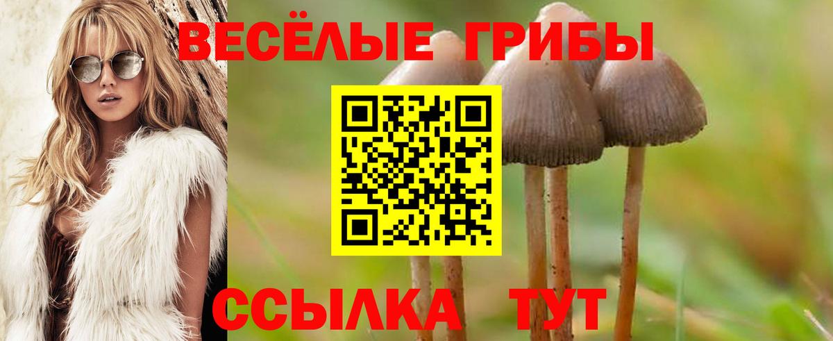 Галлюциногенные грибы прущие грибы Елизово